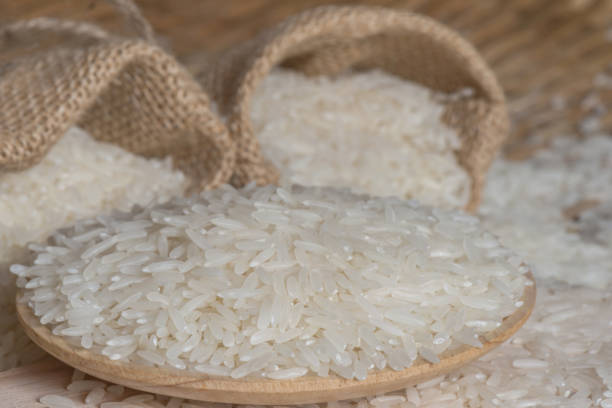 بهترین زمان خرید برنج عنبر بو تازه برداشت شده