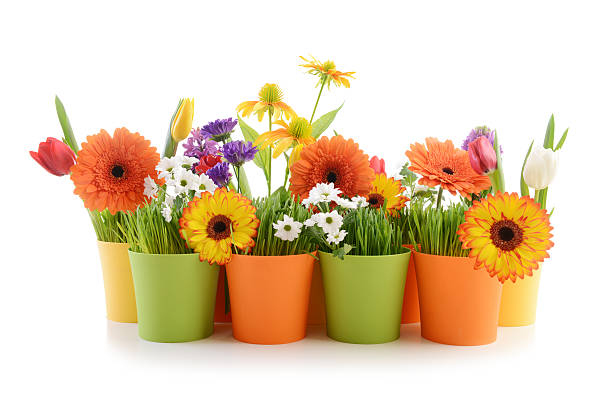 گلدان پلاستیکی گرد مناسب فضا های کوچک دکور رو میزی