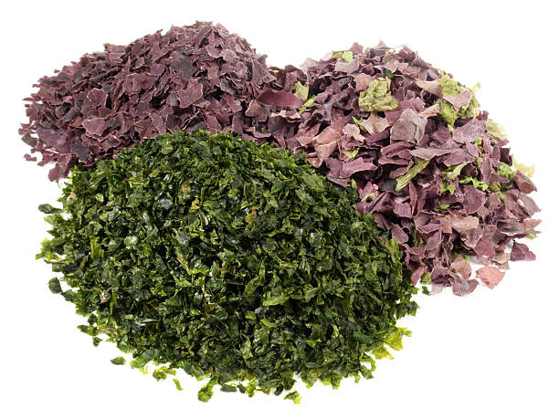 سبزی خشک آش سورت‌ شده بدون ساقه های خشک