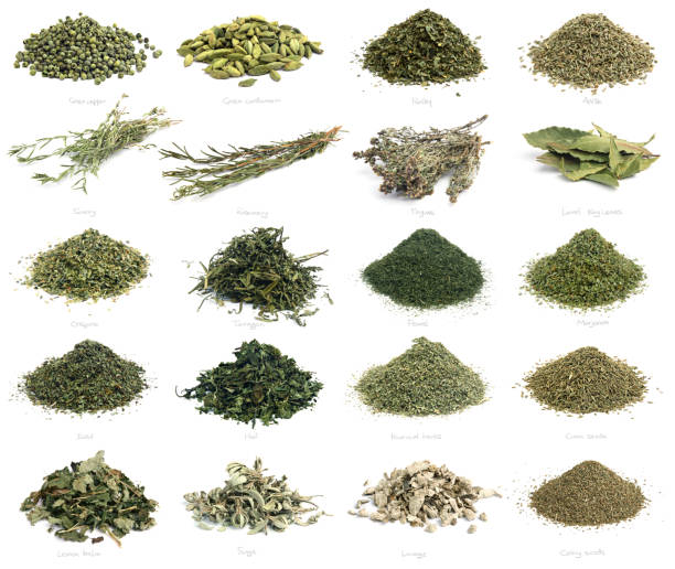 تصویر 2 از سبزی خشک ماست درجه یک سایه‌ خشک