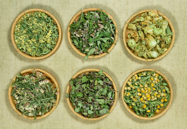 تصویر 2 از سبزی خشک پونه ریز و یکنواخت صادراتی خلوص بالا