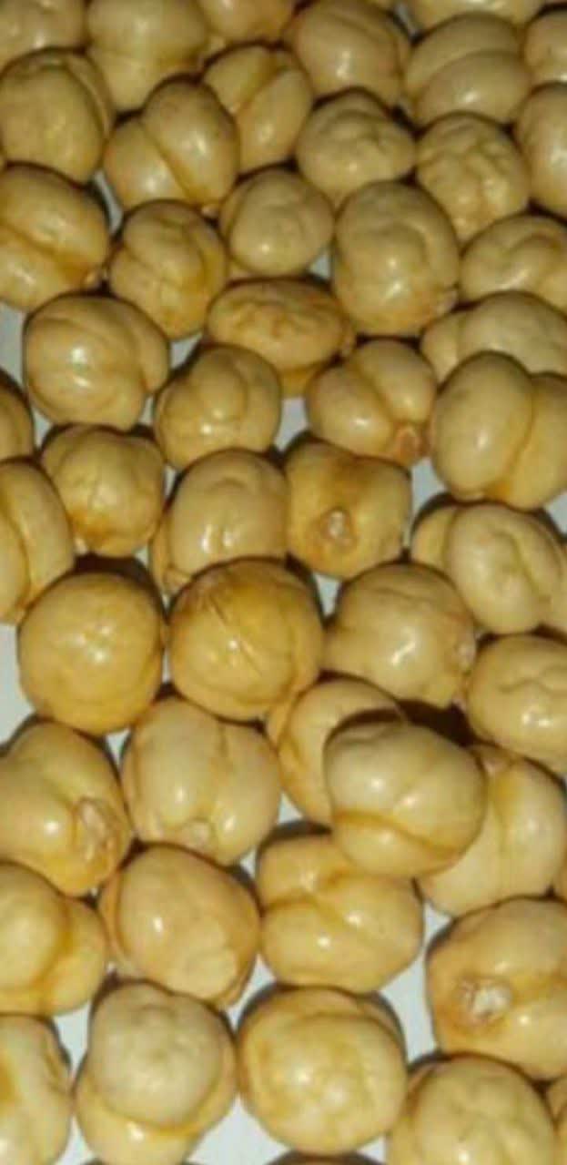 فروش نخودچی بو داده + قیمت عالی