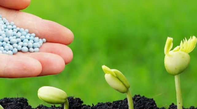 تصویر 2 از کود اوره طبیعی انتخابی هوشمند