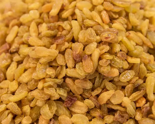 کشمش پلویی کاشمر از مزارع معتبر