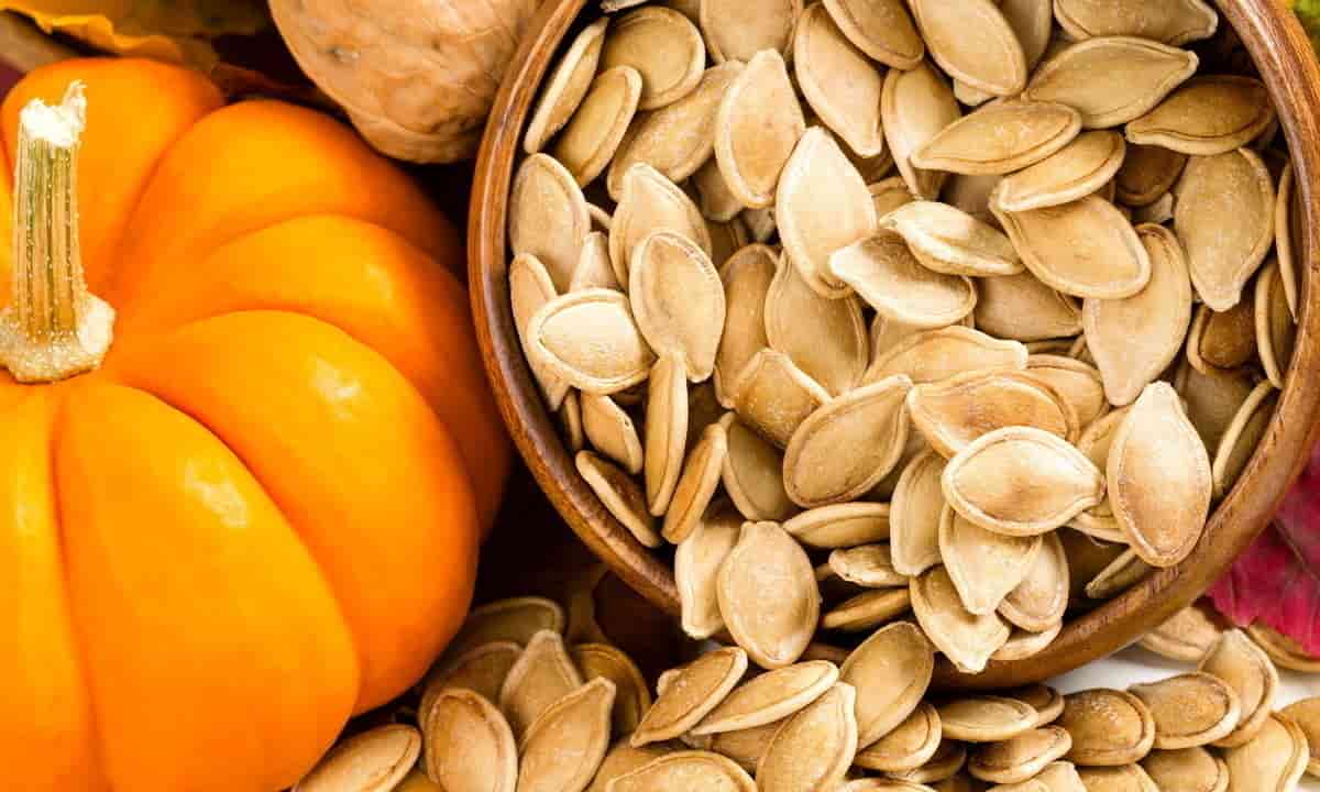 تخمه کدو تازه و سالم با کیفتی برتر