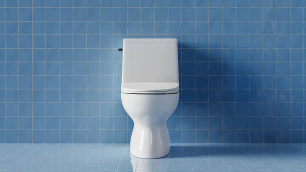 توالت فرنگی با طراحی مینیمال + انتخابی هوشمند برای سرویس بهداشتی