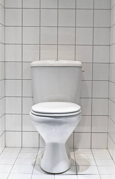 تصویر 1 از توالت فرنگی با طراحی مینیمال + انتخابی هوشمند برای سرویس بهداشتی