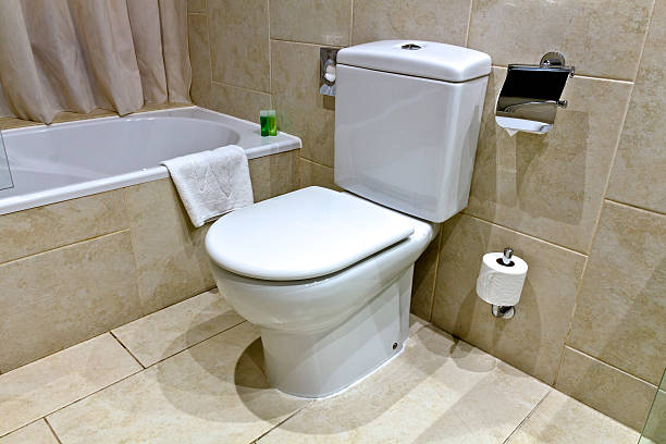 تصویر 3 از توالت فرنگی با طراحی مینیمال + انتخابی هوشمند برای سرویس بهداشتی