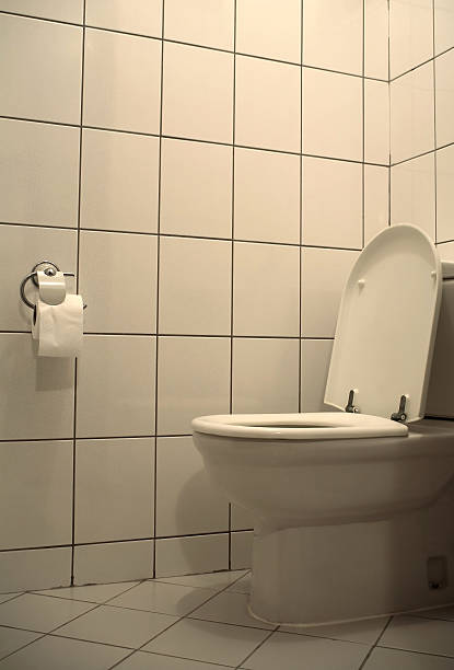 تصویر 1 از توالت فرنگی مروارید دوام بالا و نصب آسان