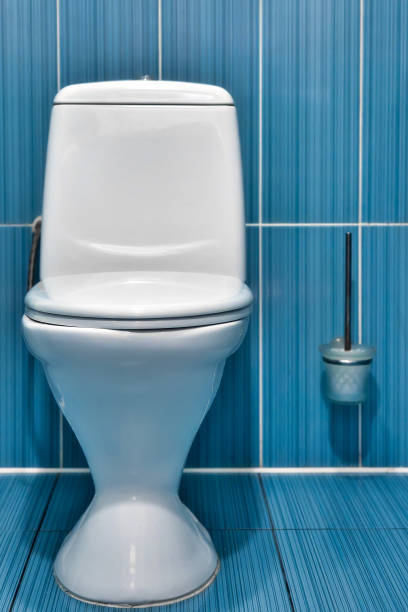 تصویر 3 از توالت فرنگی مروارید دوام بالا و نصب آسان