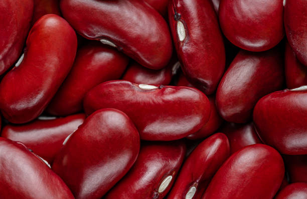 تصویر 4 از لوبیا قرمز جگری با طعم اصیل و اندازه استاندارد