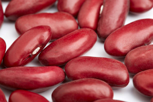 تصویر 2 از لوبیا قرمز فله حجم بالا مناسب نگهداری طولانی