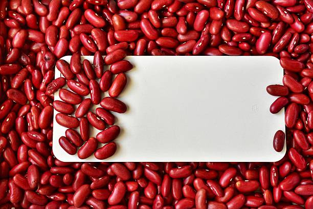 تصویر 4 از لوبیا قرمز فله حجم بالا مناسب نگهداری طولانی