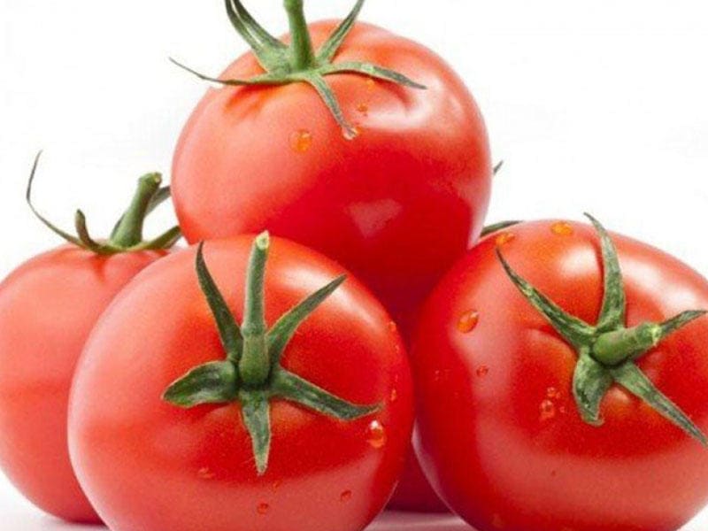 تصویر 1 از گوجه فرنگی قرمز فله مزرعه رسیده با بافت نرم