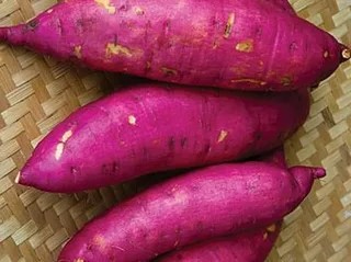 سیب‌ زمینی بنفش با خواص تغذیه‌ ای بالا