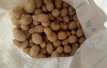 سیب زمینی ریز در بسته بندی اقتصادی