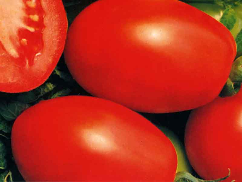 تصویر 5 از گوجه فرنگی ارگانیک قرمز ریز طبیعی آبدار مناسب رژیم غذایی