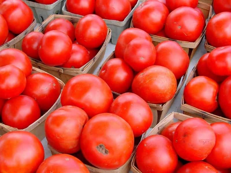 تصویر 3 از گوجه فرنگی ارگانیک قرمز درشت طبیعی ویژه آشپزی خانگی