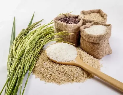 برنج پاکستانی عالی دانه بلند خوش طعم