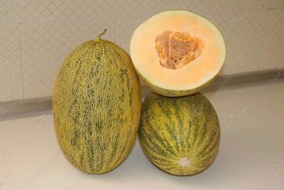 خربزه خشک افغانستان با طعم خاص و متفاوت