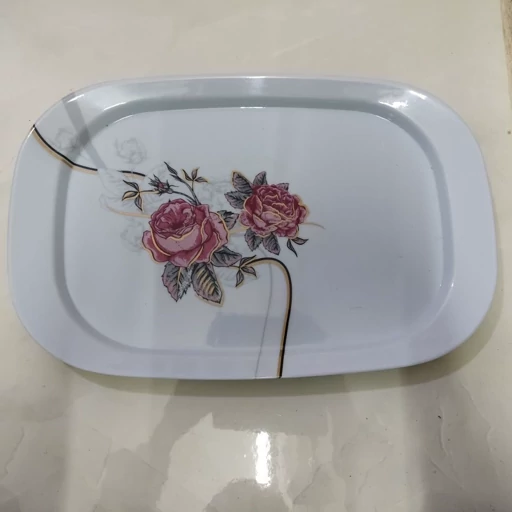 تصویر 4 از خرید دیس رستورانی چهار گوش + قیمت فروش استثنایی