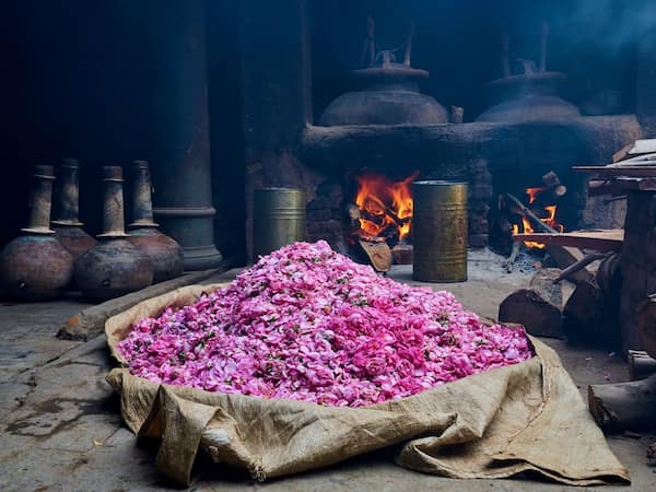 تصویر 1 از گلاب تازه طبیعی و خوش‌ عطر نیاسر