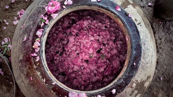 تصویر 1 از گلاب دو آتیشه ممتاز و غلیظ