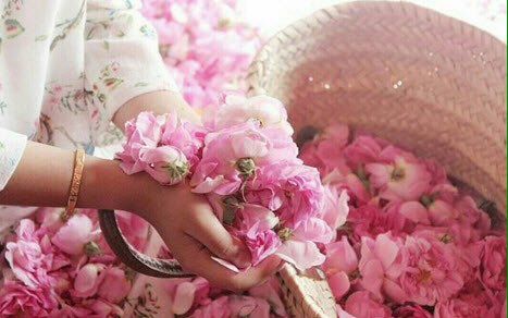 تصویر 4 از گلاب دو آتیشه ممتاز و غلیظ