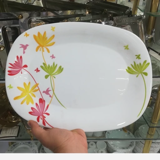 تصویر 1 از خرید و فروش دیس ملامین رستورانی با شرایط فوق العاده