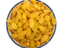 تصویر 5 از کشمش طلایی ملکان مناسب پخت و شیرینی