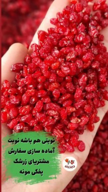 زرشک پفکی اعلا + قيمت عالی