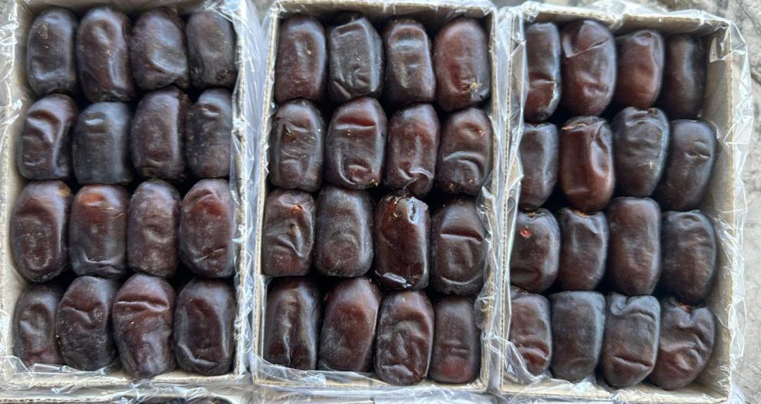 خرمای مضافتی مستقیم از بم