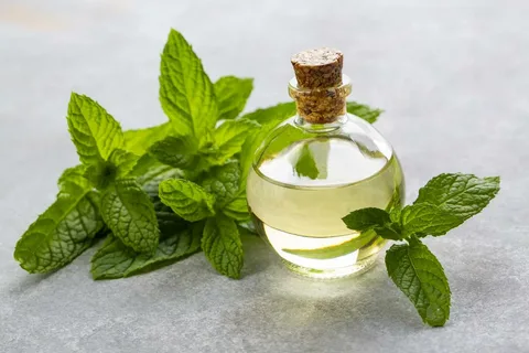 عرق نعنا خالص طبیعی و ارگانیک