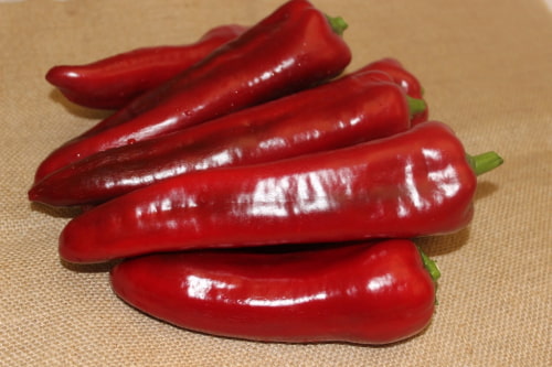 فلفل دلمه‌ ای قرمز دراز با طعم ملایم و طبیعی