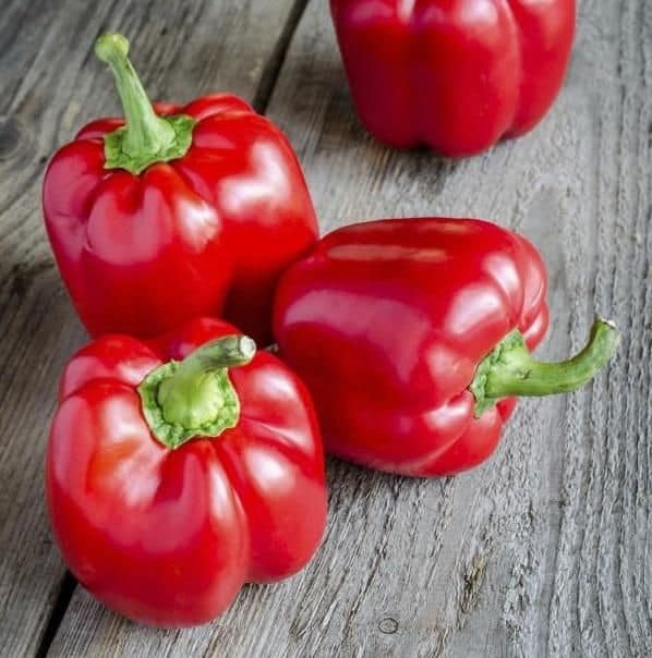 فلفل دلمه‌ ای لورکا مناسب کشت گلخانه‌ ای
