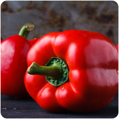 تصویر 2 از فلفل دلمه‌ ای لورکا مناسب کشت گلخانه‌ ای