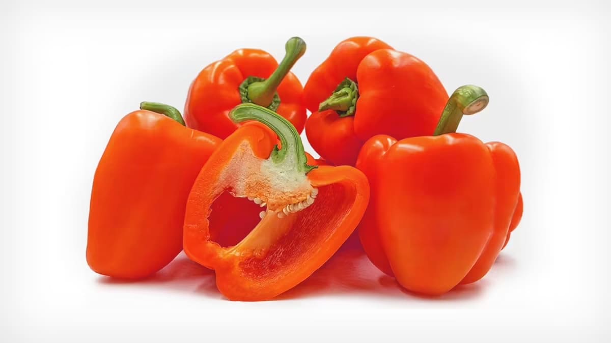 فلفل دلمه‌ ای نارنجی با ماندگاری بالا