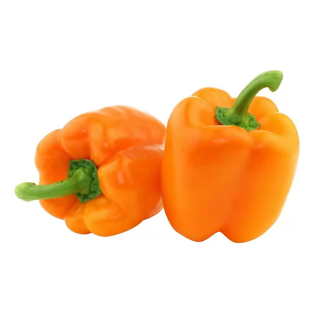تصویر 1 از فلفل دلمه‌ ای نارنجی با ماندگاری بالا
