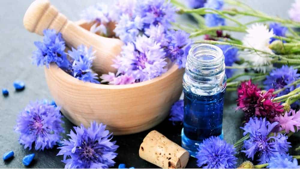 عرق کاسنی خالص انتخابی سالم برای سلامتی