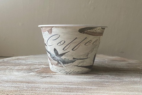 لیوان یک بار مصرف کاغذی طرح دار با طرحی کلاسیک و جذاب