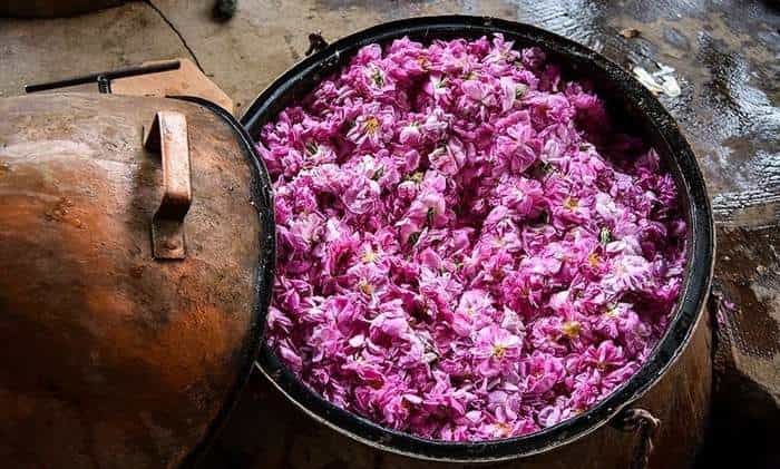 گلاب ارگانیک شیشه ای مرغوب