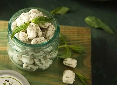 تصویر 4 از شکر پنیر نعنایی تازه + ماندگاری بالا