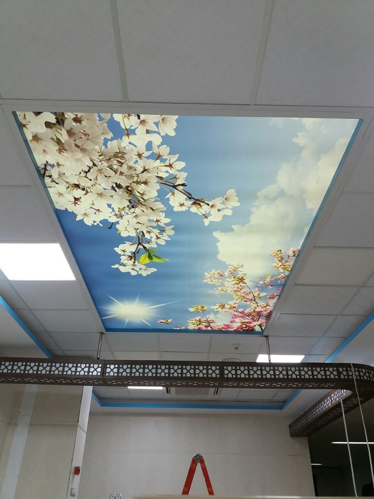 آسمان مجازی طلقی