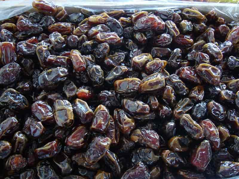 خرما زاهدی درشت عراق بسته بندی شکیل و مقاوم