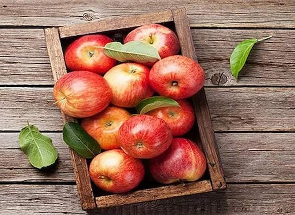 تصویر 1 از سیب درختی ارومیه درجه یک و ممتاز