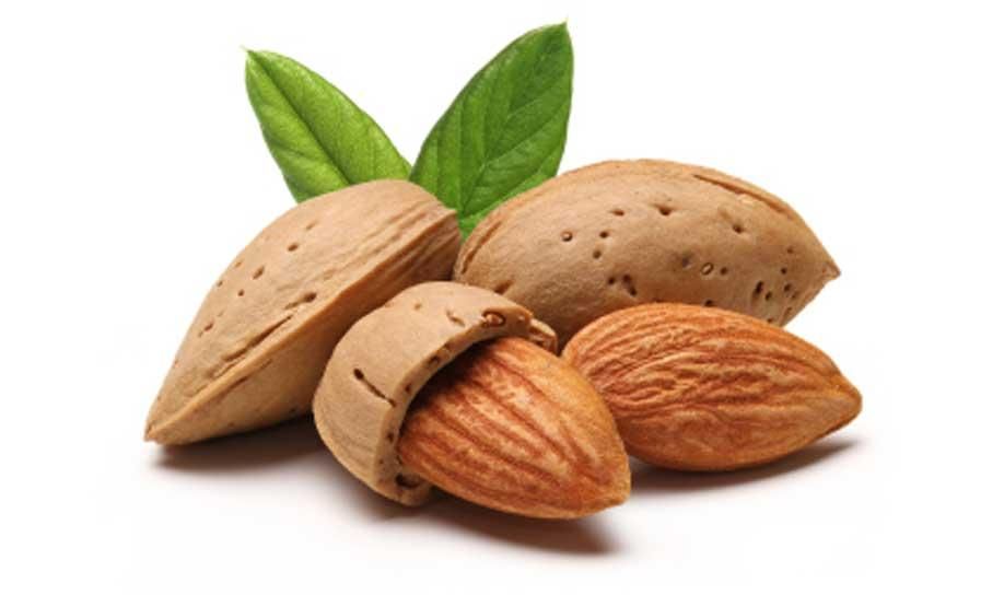 بادام ربیع تازه و خوش‌ طعم صادراتی پوست کاغذی