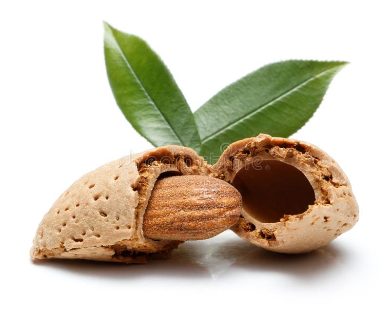 بادام آذرشهر ممتاز و خوش‌ طعم طبیعی