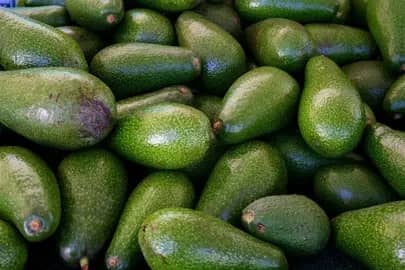 تصویر 1 از خرید اینترنتی آووکادو ایرانی عمده + کیفیت تضمینی