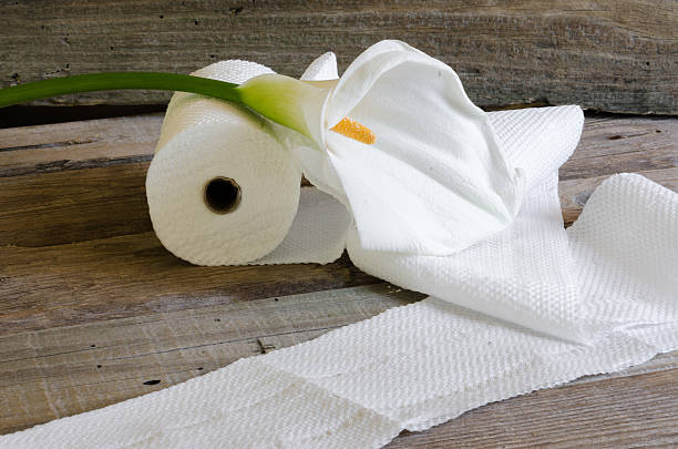 دستمال کاغذی توالت ضد حساسیت ایمن