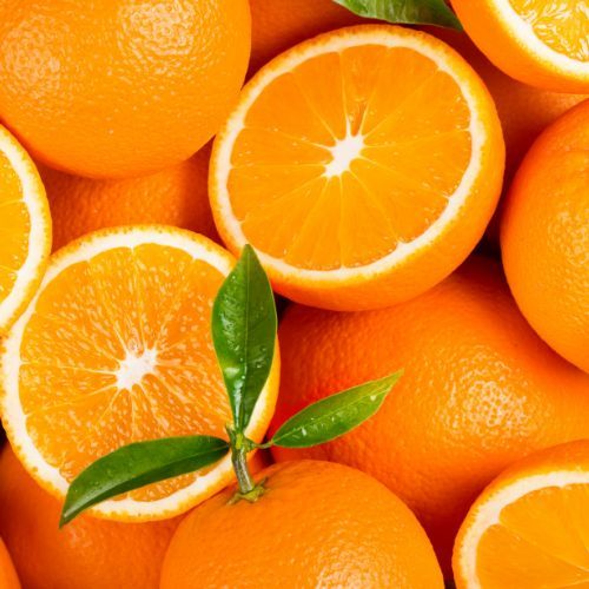 تصویر 2 از پرتقال تامسون شیرین بدون هسته تضمینی